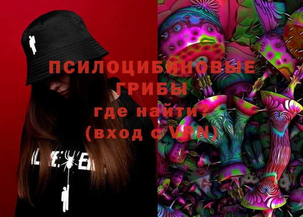 ПСИЛОЦИБИНОВЫЕ ГРИБЫ Алзамай