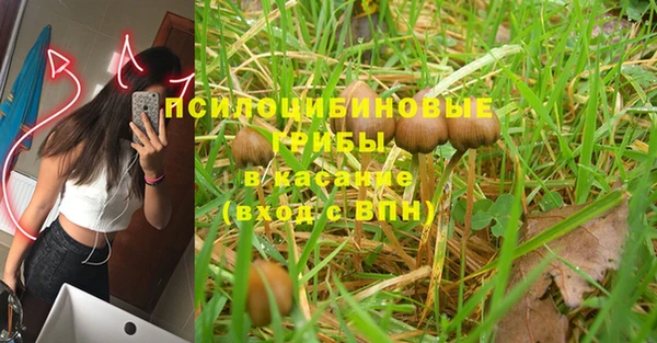 бутират Анжеро-Судженск