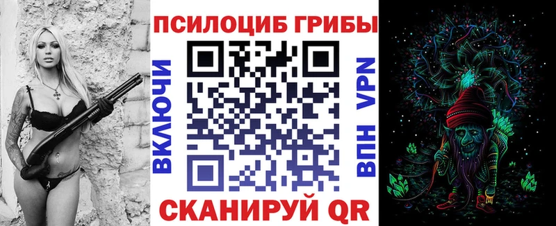 kraken вход  Белоярский  Галлюциногенные грибы прущие грибы 